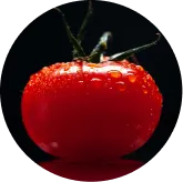 African Mango Seed Extract